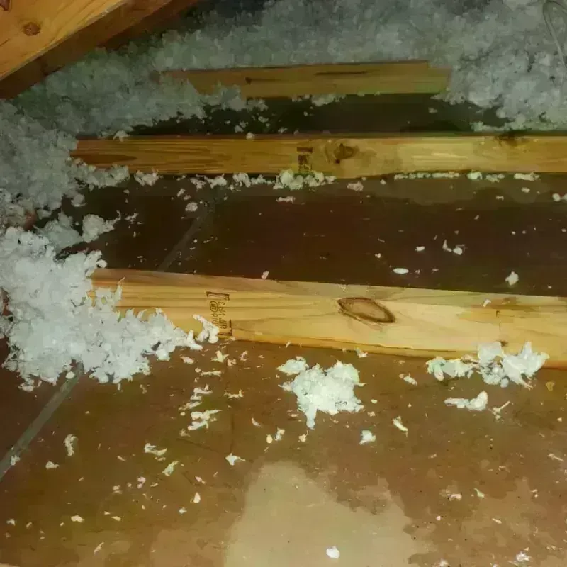 Attic Water Damage in Sidney, OH