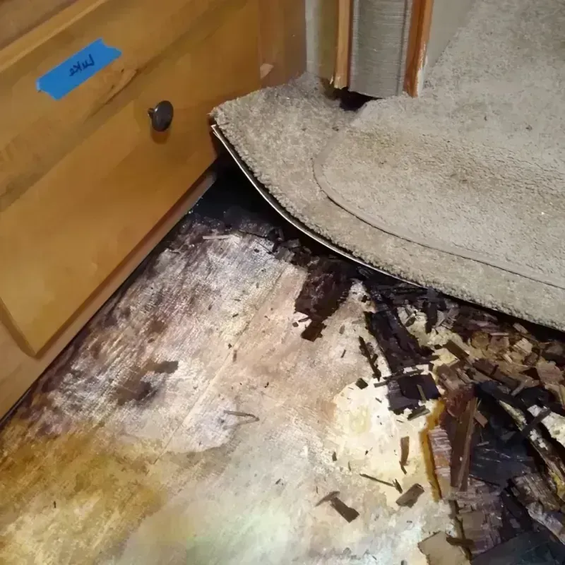 Wood Floor Water Damage in Sidney, OH